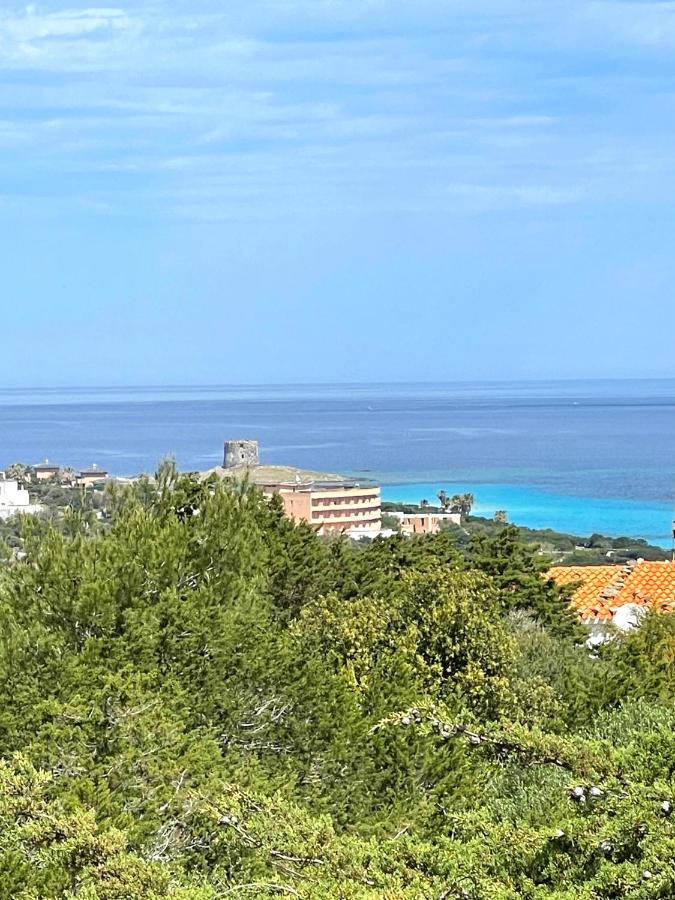 Casa Vacanze Stintino Vista Mare Zewnętrze zdjęcie